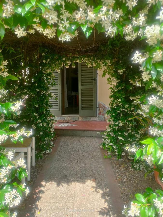 La Casa Di Fiorella Cerreto Guidi Buitenkant foto