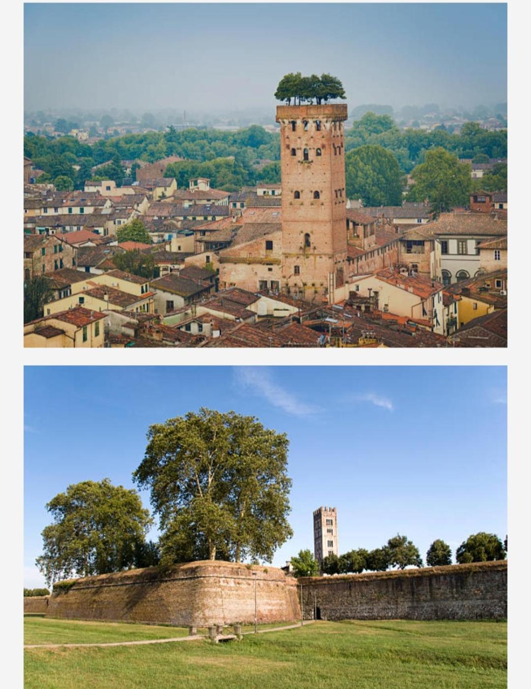 La Casa Di Fiorella Cerreto Guidi Buitenkant foto